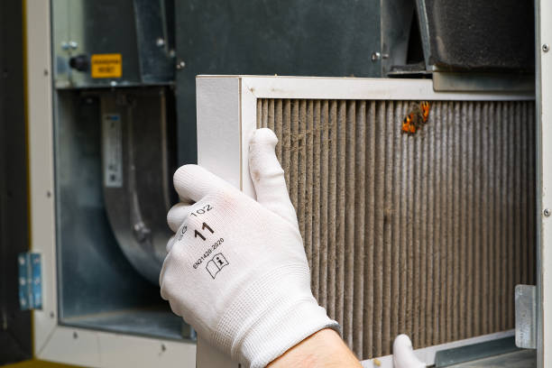 Best Air Duct Cleaning Near Me  in Unicoi, TN