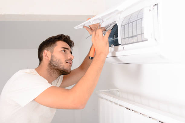 Air Duct Mold Removal in Unicoi, TN